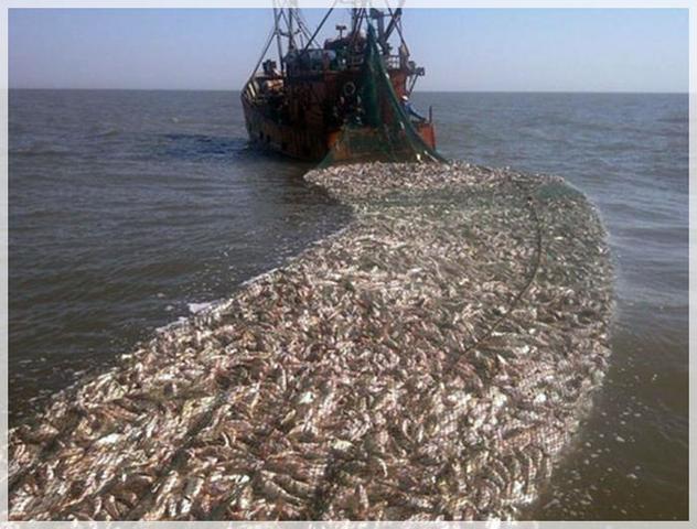 LEY 611 DE 2000 Manejo sostenible de especies de Fauna Silvestre y Acuática