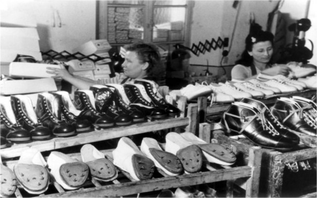 Insipience of the family business