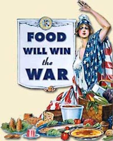 Food Administration set up Under Herbert Hoover