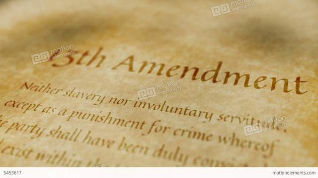 The Thirteenth Amendment