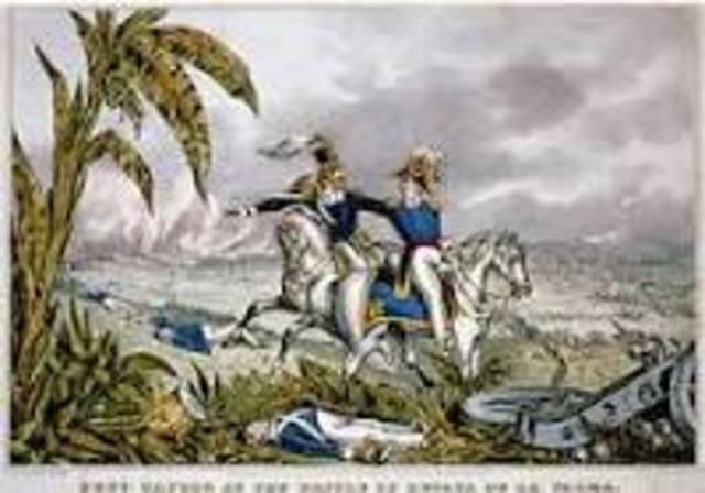 Battle of Resaca de la Palma