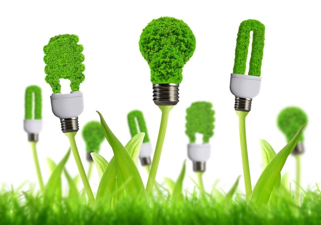 Decreto 2820 de 2010