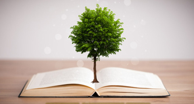 Decreto 2041 de 2014