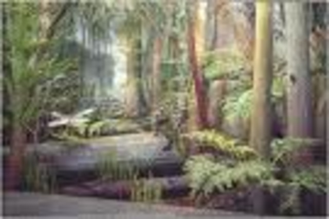 Devonian 395-345 MYA