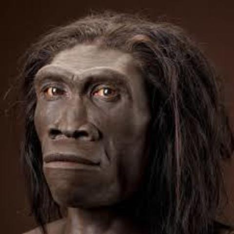 Homo sapiens Homo sapiens