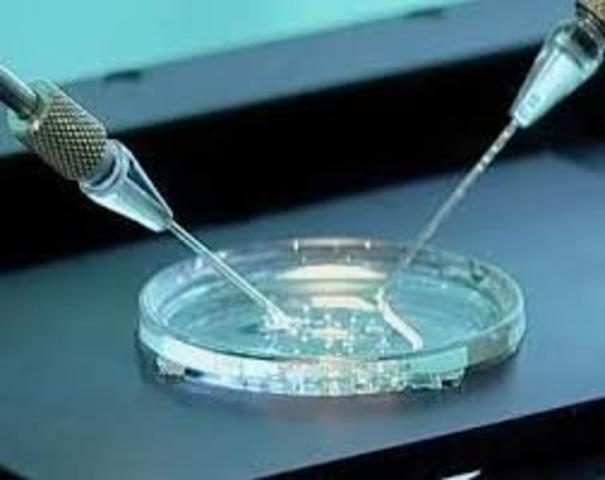 nacimiento del primer bebé concebido in Vitro