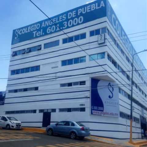 Trabajo en Colegio Ángeles de Puebla capacitación docente