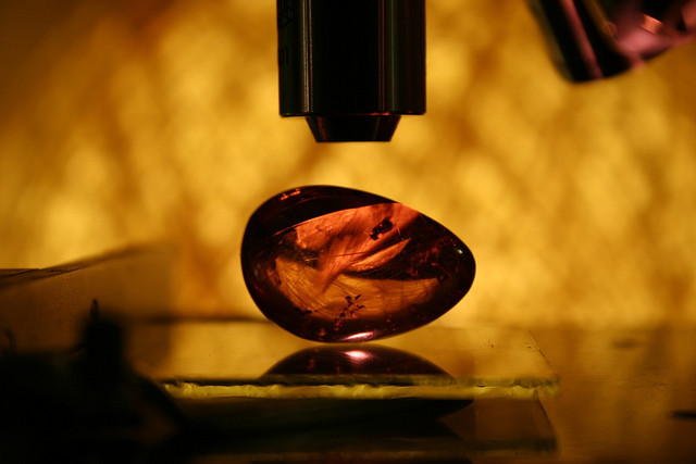 Origen del término "Electricidad"