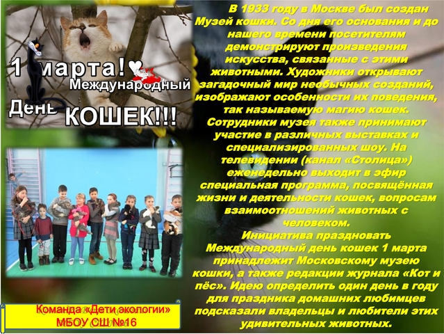 Всемирный день кошек