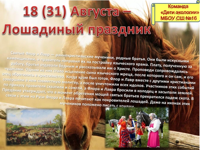 Лошадиный праздник (Команда "Дети экологии" МБОУ СШ №16 г. Арзамас)