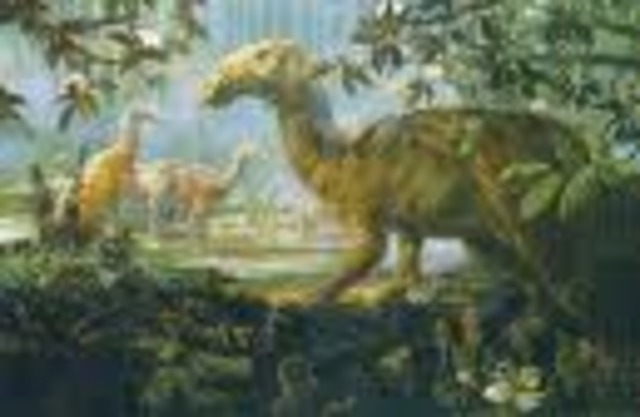 Cretaceous 136-65 MYA