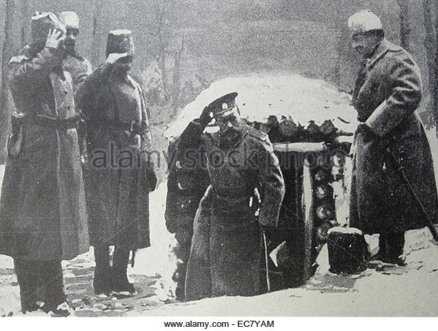 the Tsar himself took  control of the army