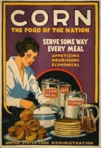 Food administration set up under Herbert Hoover