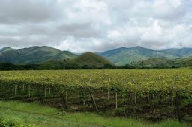 Procuraduría dice que gobernador (e.) del Valle no está inhabilitado, pero urge convocar elecciones
