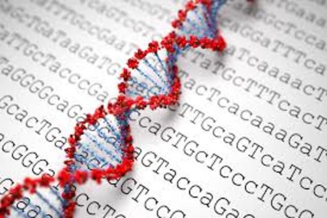 Secuenciación de ADN