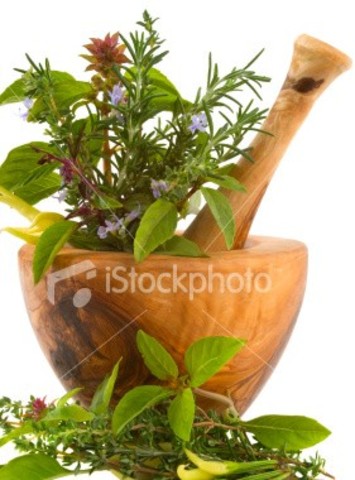 PRIMER MÉDICO CONOCIDO