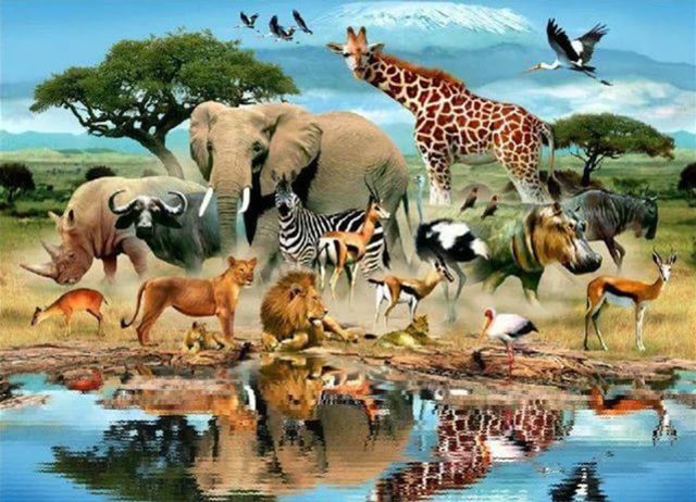 Всемирный день защиты животных (в России с 2000г.)