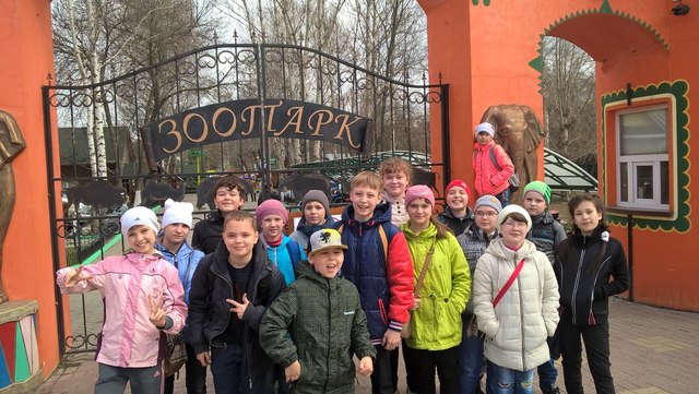 День дикой природы (Команда ДЭКО)