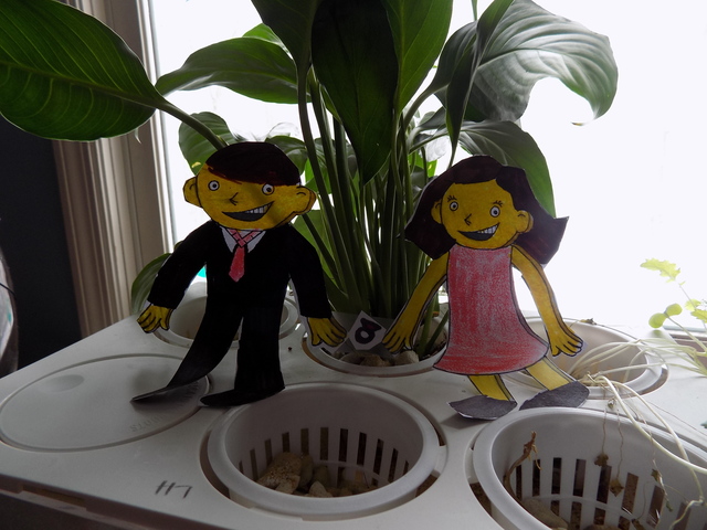 Le faire sa demande en Mariage