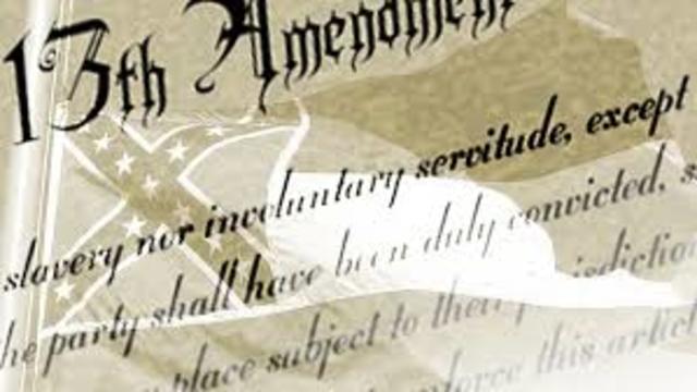 The 13 Amendments