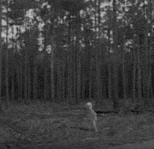 Entidad de Alaska de 1930