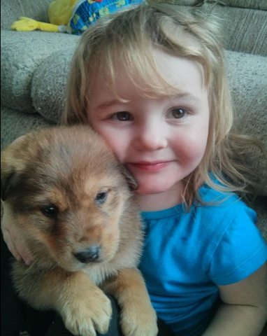 We got our first puppy