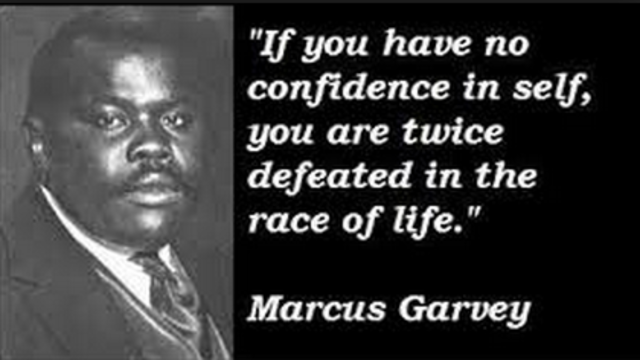 Cause: United Negro Improvement Association founded