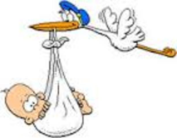 A royal child is born!