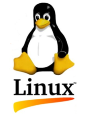 Surge Linux