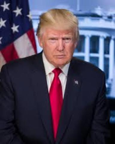 President Donald Trump Takes Office