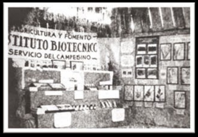 Instituto Biotecnico / México