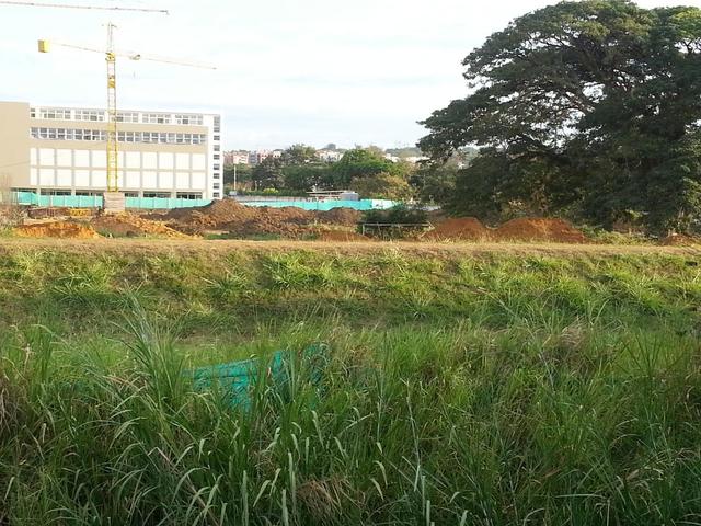 NUEVA SEDE VALLE DEL LILI