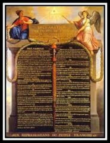 La Declaration des Droits de l'homme et du citoyen