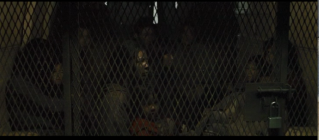 The chinese people in the van