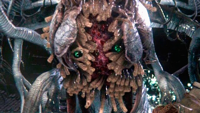 DONASH crea a El Colectivo