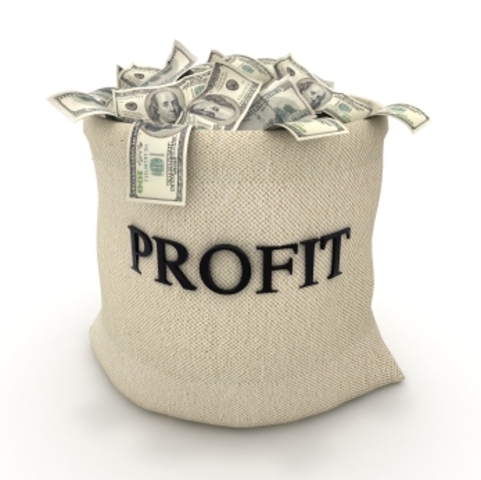 Estimate Profits