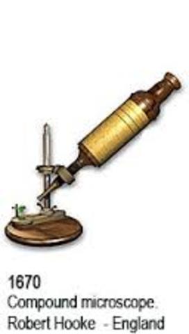 Mikroskopioa (LEEWENHOEK)