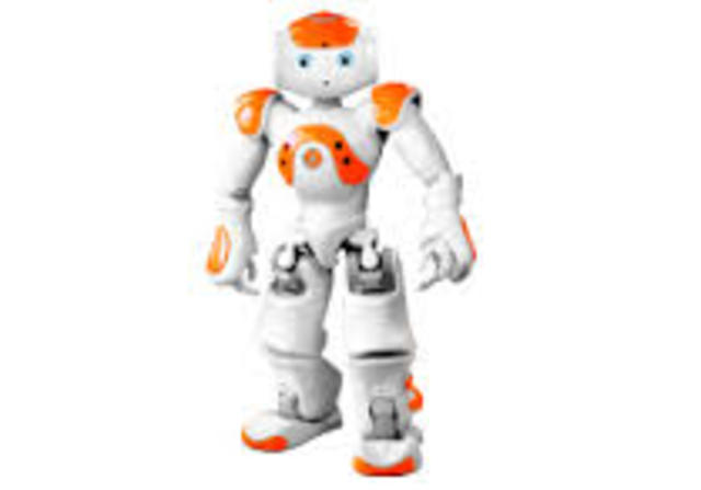 Robot Humanoide