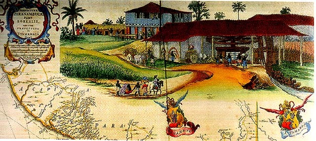 First Portuguese plantations in Brazil