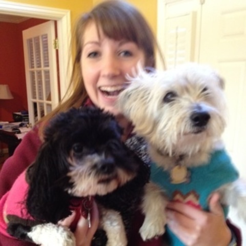 El cumpleaños de mi perro