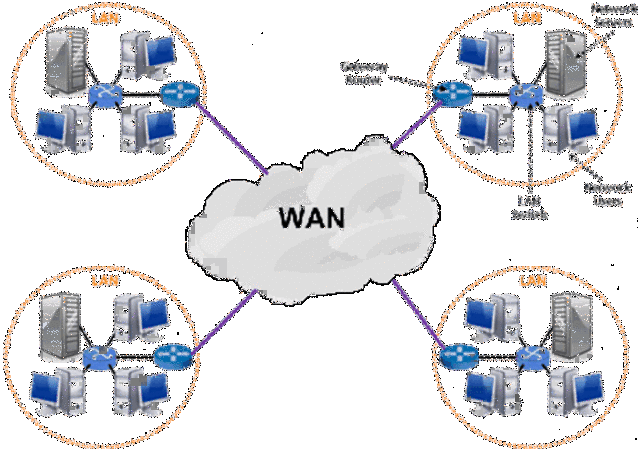 WAN