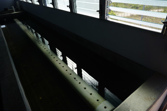 Plant 10 at Moroceli