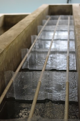 Plant 13 at Las Vegas