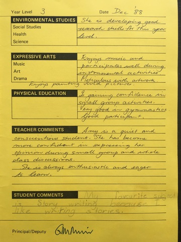 Year 3 school report, student comments