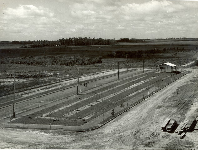 OBRAS Início das obras da Cidade Universitária