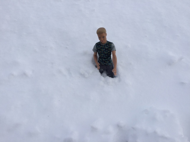 Ken dans le tundra