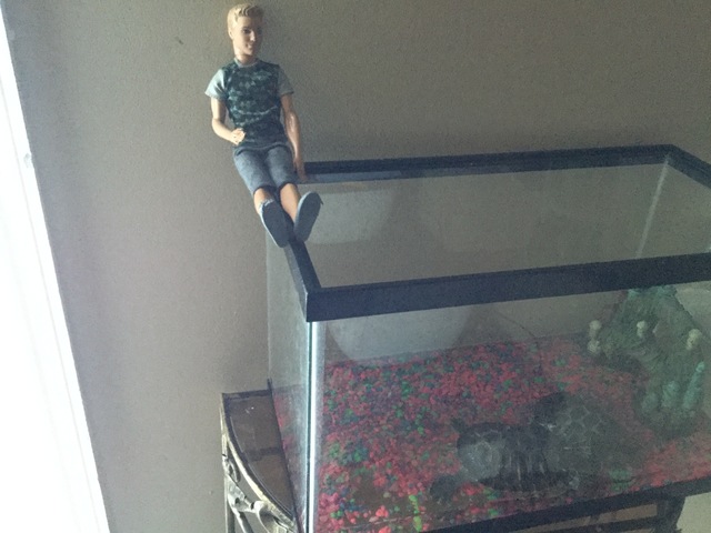 Ken jouer avec tortue