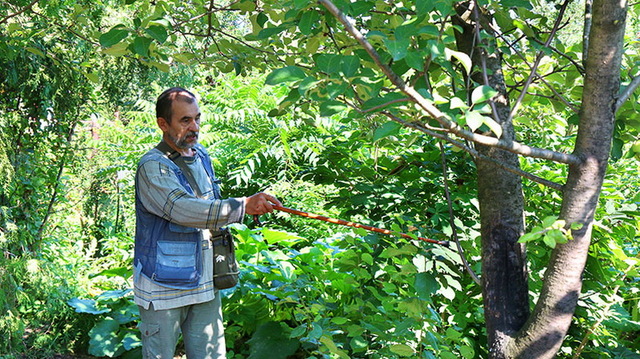 Организация Волжско-Камского заповедника, в который Раифское лесничество вошло в качестве одного из двух его участков.