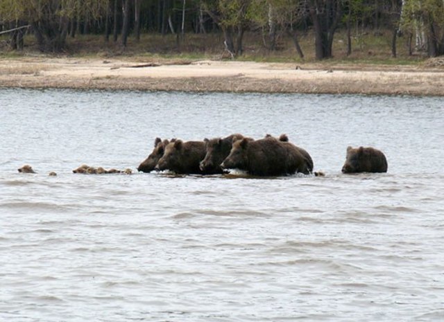 Создание охранной зоны заповедника.Начало гидрохимических исследований заповедных водоемов под руководством Н.М. Мингазовой.