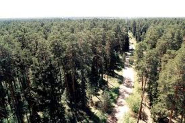 Расширение площади Раифского участка заповедника.